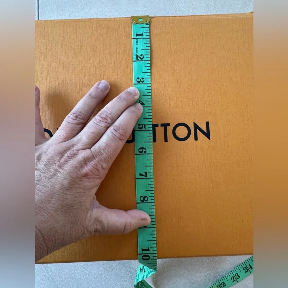 Louis Vuitton authentic louis